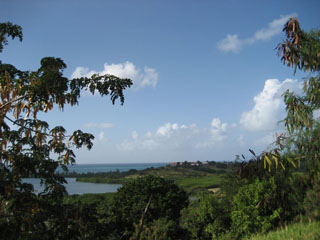 View to northeast, over the Buccaneer Resort